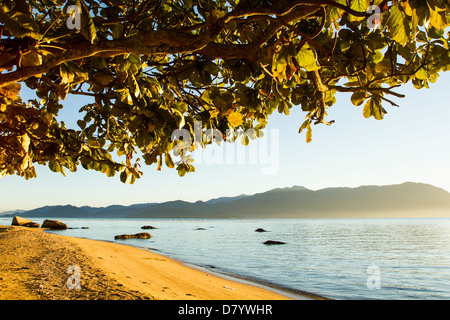 Ribeirao da Ilha Beach. Foto Stock