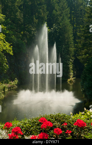 Ross Fontana, Butchart Gardens, Victoria, British Columbia, Canada Foto Stock