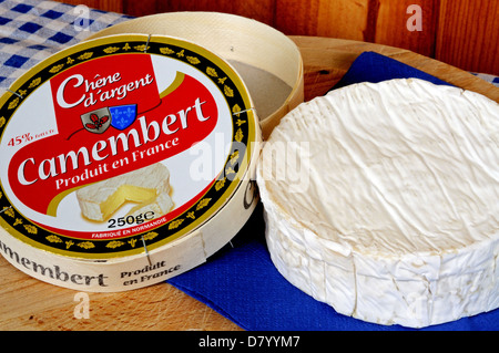 Tutto il camembert francese in un round in una scatola di legno. Foto Stock