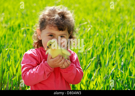 Bambina con oca pulcino. Foto Stock