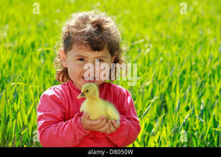 Bambina con oca pulcino. Foto Stock