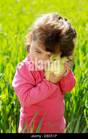 Bambina con oca pulcino. Foto Stock