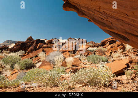 Incisioni rupestri, Huab River Valley, Torra Conservancy, Damaraland, Namibia. Foto Stock