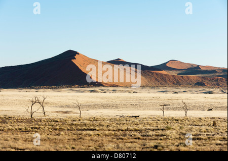 Vista aerea, Namib Naukluft Park, Namib Desert, Namibia. Foto Stock