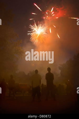 La gente a guardare i fuochi d'artificio nel cielo notturno Foto Stock