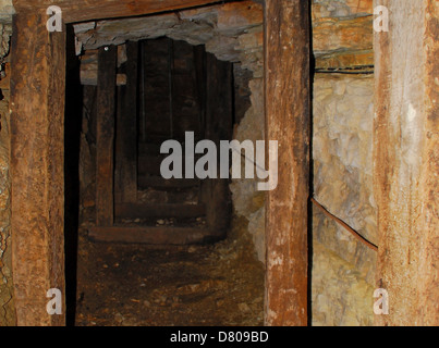 La prima guerra mondiale. Veneto, Italia. Massiccio del Monte Grappa, Col Campeggia, Italiano tunnel militari nella zona dietro la parte anteriore. Foto Stock
