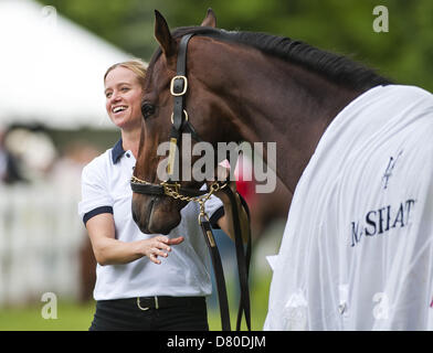 Baltimore, Maryland, Stati Uniti d'America. 16 maggio 2013. Esercizio pilota Giulia Patterson e Kentucky Derby vincitore Orb a Pimlico Race Course Maggio 16, 2013. (Immagine di credito: credito: Scott Serio/eclipse/ZUMAPRESS.com/Alamy Live News) Foto Stock