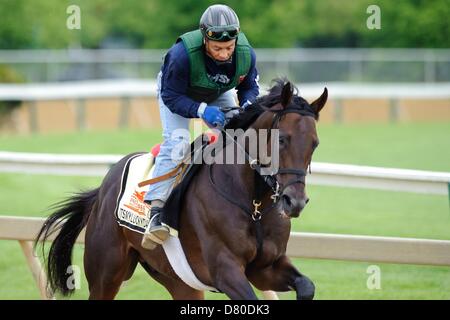 Baltimore, Maryland, Stati Uniti d'America. 16 maggio 2013. Preakness Contender itsmyluckyday durante gli allenamenti di mattina a Pimlico Race Course di Baltimora, MD il 05/16/13. (Immagine di credito: credito: Ryan Lasek/eclipse/ZUMAPRESS.com/Alamy Live News) Foto Stock