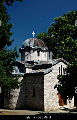 Piccola chiesa di fronte al monastero di Osios David, ben noto in Eubea e nel resto della Grecia troppo, contro il cielo blu e chiaro. Foto Stock