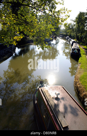 Narrowboats sulla Oxford Canal Northamptonshire Braunston Northants England Regno Unito GB narrowboats barca barche di taglio inglese British Foto Stock