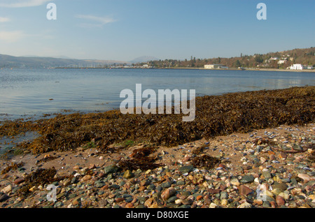 Spiaggia sul Gareloch a Helensburgh, Scozia Foto Stock