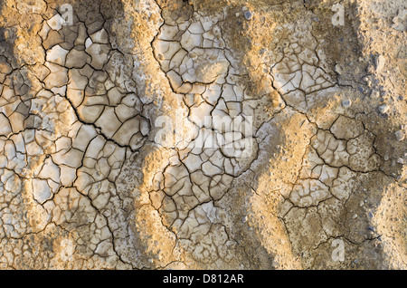 Carrello pneumatico tracce sinuose essiccato sul terreno fangoso Foto Stock