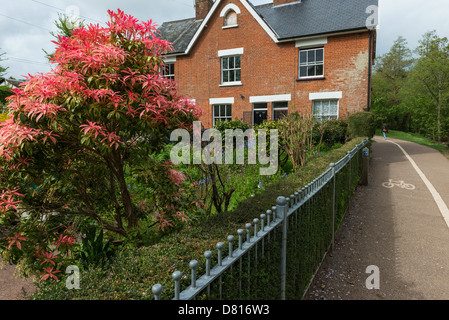 Sidmouth, Devon, Inghilterra. 13 maggio 2013. Casa a Byes, Sidmouth accanto a una pista ciclabile. Foto Stock