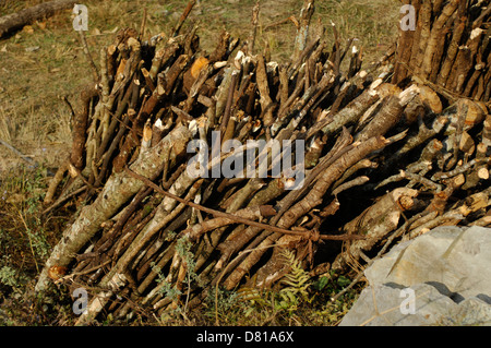 Il legno tagliato in foreste, fornito in dotazione per la realizzazione di casa rurale in Nepal. Molte persone in villaggi nepalesi e cuocere con il legno Foto Stock