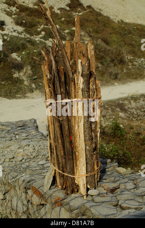 Il legno tagliato in foreste, fornito in dotazione per la realizzazione di casa rurale in Nepal. Molte persone in villaggi nepalesi e cuocere con il legno Foto Stock