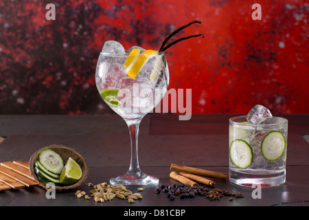 Il gin tonic cocktail con spezie lima cetriolo Vaniglia Chiodi di garofano cardamomo cannella e bacche di ginepro in rosso Foto Stock