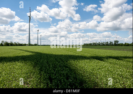 Fonte di energia rinnovabile energia eolica su un campo nel Marchfeld, Austria Inferiore, Austria Foto Stock