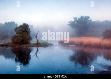 Misty Dawn a Beeleigh cade Foto Stock