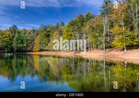 Italia Puglia il Parco Nazionale del Gargano Foresta Umbra Riserva Naturale - Lago Umbra - autunno Foto Stock