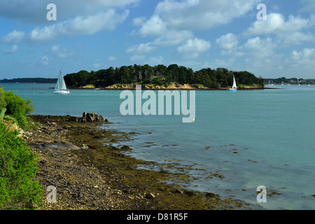 Ile Longue in Baden Larmor, golfo del Morbihan, in Bretagna, Francia). Foto Stock