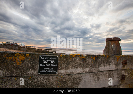 Whitstable spiaggia tramonto Foto Stock