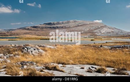 Mullaghmore Mountain, da Gortlecka, Burren, County Clare, Irlanda Foto Stock