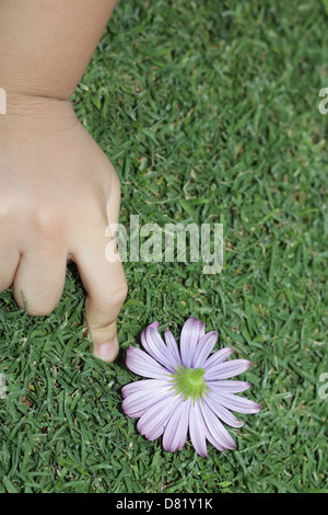 Bambina con fiore sul prato Foto Stock