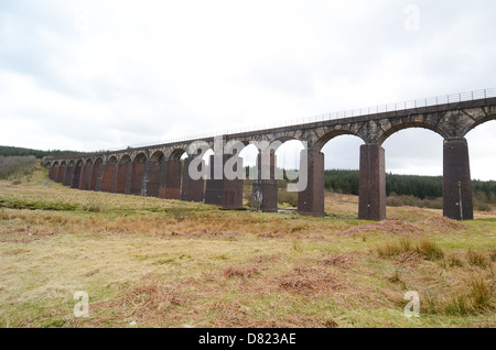 Grande acqua del viadotto della flotta in Dumfries and Galloway, Scozia. Foto Stock