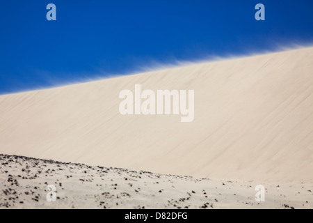 Vento spazzata di dune di sabbia, Firenze, Oregon Foto Stock