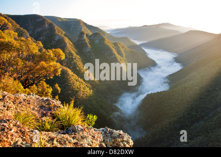 Nuvole nel profondo Kanangra a sunrise. Foto Stock