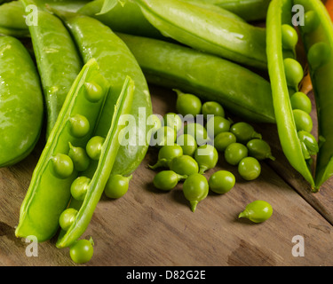 Appena raccolto Sgusciate i piselli verdi Foto Stock