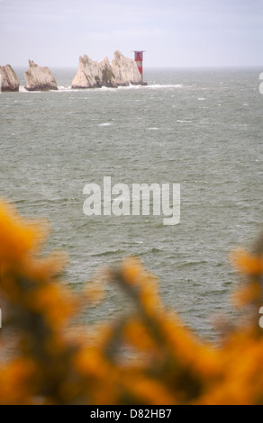 Gli aghi dell'Isola di Wight visto da Alum Bay, Isola di Wight, Hampshire UK con fiori di gola fuori fuoco in primo piano nel mese di maggio Foto Stock