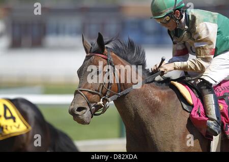 Baltimore, Maryland, Stati Uniti d'America. Il 17 maggio 2013. Io sono la mamma preferiti (#8), Sheldon Russell, vince gara 8, il ventottesimo runniing della sig.ra Rosa Preakness Stakes guerriero a Pimlico Race Course di Baltimora, MD. Il Trainer è Anthony Dutrow. (Immagine di credito: credito: Joan Kanes per collezionisti/eclipse/ZUMAPRESS.com/Alamy Live News) Foto Stock