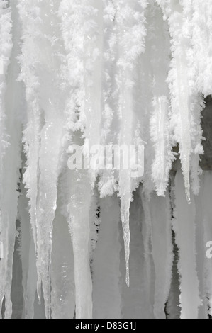 Ghiaccioli con soft rime la formazione di ghiaccio su di loro pende da una cascata ghiacciata. Ontario in Canada. Foto Stock