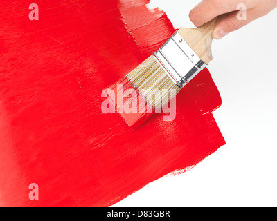 Persona in possesso di un pennello mettendo in rosso di un cappotto di vernice su sfondo bianco Foto Stock