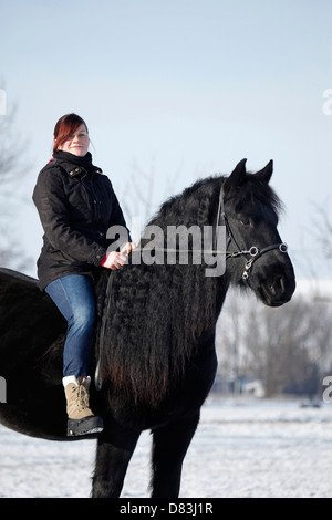 La donna corse di cavalli Frisone Foto Stock