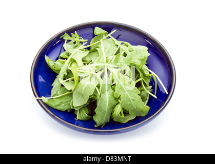 Foglie di rucola in blu ciotola isolato su sfondo bianco Foto Stock