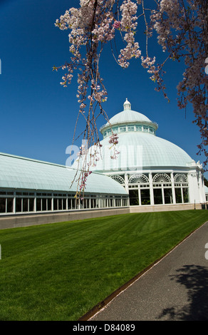 Il Enid A. Haupt Conservatorio sul New York Giardino Botanico nel Bronx Foto Stock