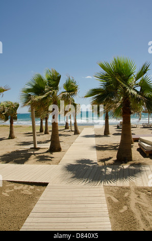 Passerella in legno al mare con palme a Rio Real, lusso proprietà sulla spiaggia vicino a Marbella. Costa del sol. Spagna. Foto Stock