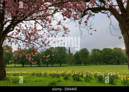 Il disperso, Harrogate Foto Stock