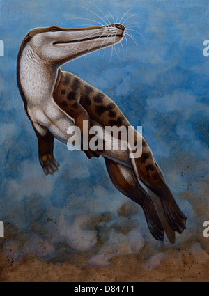 Ambulocetus natans e un inizio di cetacei che visse nei primi Eocene epoch Foto Stock