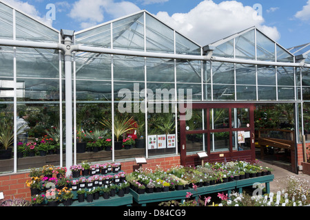 Il Frassino indipendenti vivai garden center conosciuto localmente ad alta qualità di piante e alberi Foto Stock