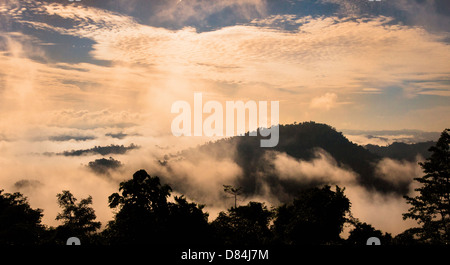 Il Cloud inghirlandato rainforested colline nella Danum Valley Sabah Borneo all'alba Foto Stock