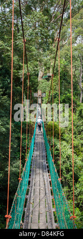 Il Pontile al Borneo Rainforest Lodge in Danum Valley Sabah Borneo consente ai visitatori toget fino alla tettoia Dipterocarp Foto Stock