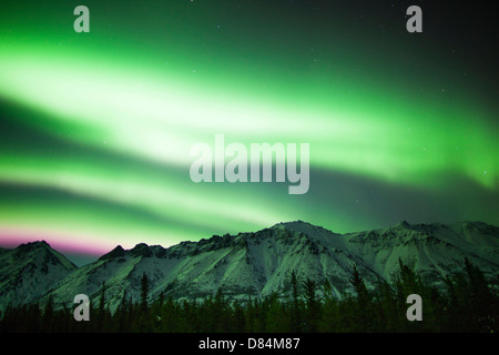 Luminose aurore boreali su Annie Lago, Yukon Territory, Canada. Foto Stock