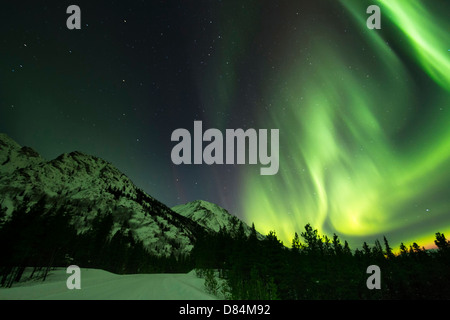 Luci del nord su Annie Lake Road, Yukon Territory, Canada. Foto Stock