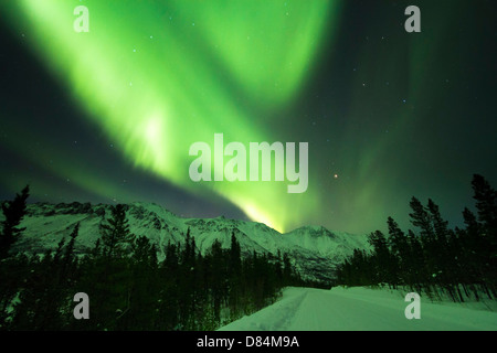 Luci del nord su Annie Lake Road, Yukon Territory, Canada. Foto Stock