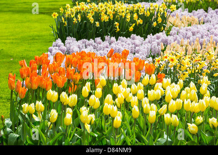 La famosa in tutto il mondo i giardini Keukenhof vicino a Lisse, Olanda, il miglior giardino di primavera nel mondo. Foto Stock