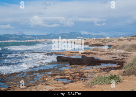 Rocky seashore, Playa de Palma. Foto Stock