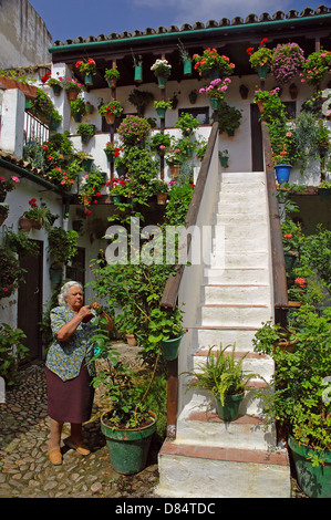 Tipico cortile di San Basilio, Cordoba, regione dell'Andalusia, Spagna, Europa Foto Stock